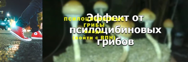 PSILOCYBIN Баксан