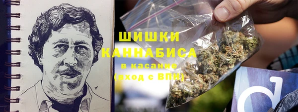 PSILOCYBIN Баксан
